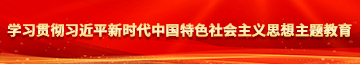 大逼色网址学习贯彻习近平新时代中国特色社会主义思想主题教育